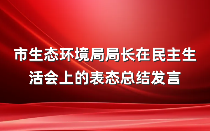 市生态环境局局长在民主生活会上的表态总结发言