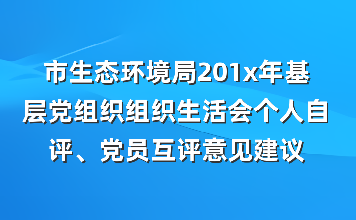 市生态环境局201x年基层党组织组织生活会个人自评、党员互评意见建议