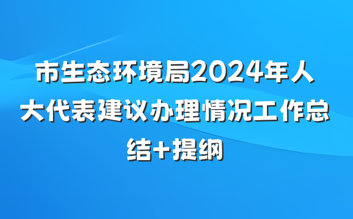 市生态环境局2024年人大代表建议办理情况工作总结 提纲