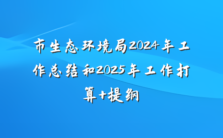 市生态环境局2024年工作总结和2025年工作打算 提纲