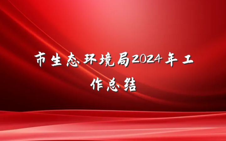 市生态环境局2024年工作总结