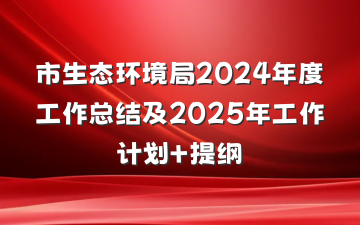 市生态环境局2024年度工作总结及2025年工作计划 提纲