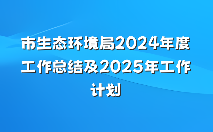 市生态环境局2024年度工作总结及2025年工作计划