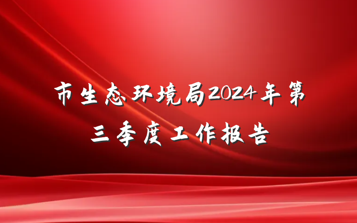 市生态环境局2024年第三季度工作报告