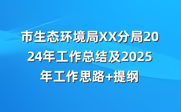 市生态环境局XX分局2024年工作总结及2025年工作思路 提纲
