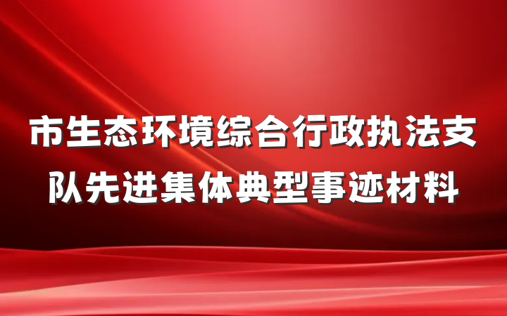 市生态环境综合行政执法支队先进集体典型事迹材料