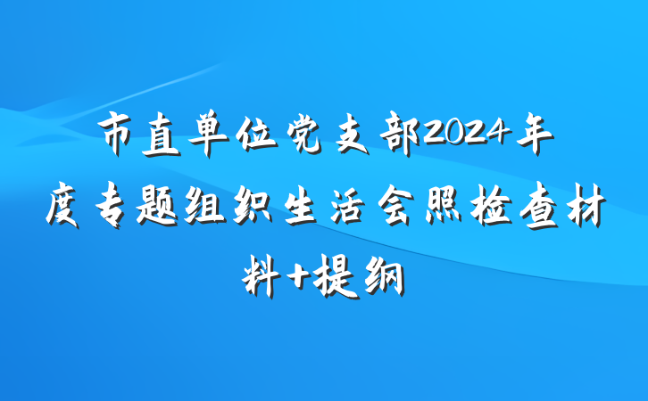 市直单位党支部2024年度专题组织生活会照检查材料 提纲
