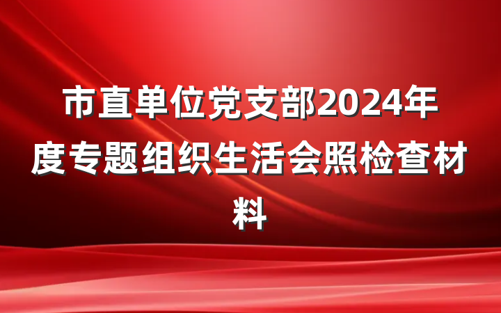 市直单位党支部2024年度专题组织生活会照检查材料