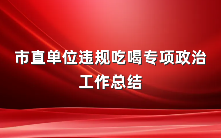 市直单位违规吃喝专项政治工作总结