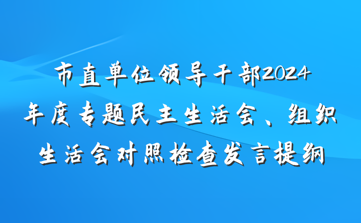 市直单位领导干部2024年度专题民主生活会、组织生活会对照检查发言提纲