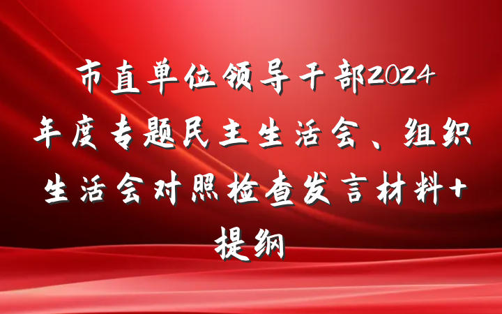 市直单位领导干部2024年度专题民主生活会、组织生活会对照检查发言材料 提纲