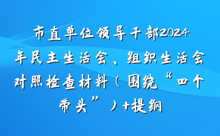 市直单位领导干部2024年民主生活会、组织生活会对照检查材料（围绕“四个带头”） 提纲