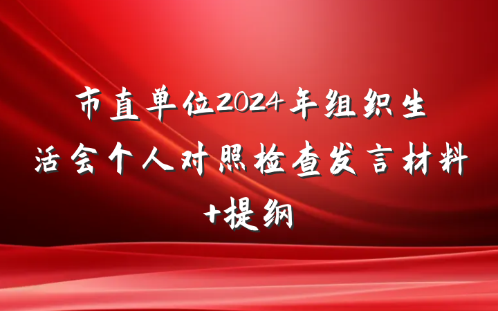市直单位2024年组织生活会个人对照检查发言材料 提纲
