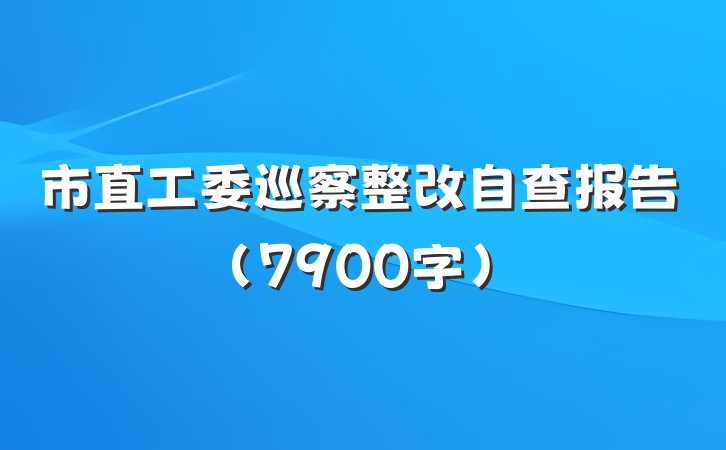 市直工委巡察整改自查报告（7900字）