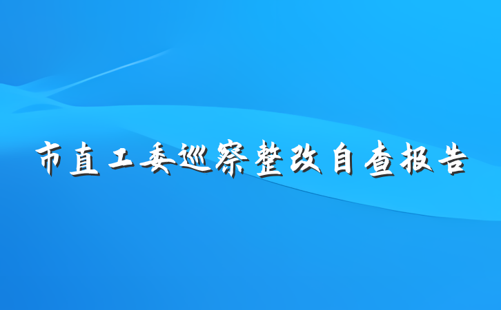 市直工委巡察整改自查报告