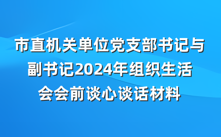 市直机关单位党支部书记与副书记2024年组织生活会会前谈心谈话材料