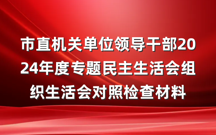 市直机关单位领导干部2024年度专题民主生活会组织生活会对照检查材料