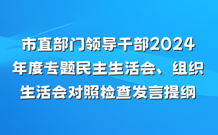 市直部门领导干部2024年度专题民主生活会、组织生活会对照检查发言提纲