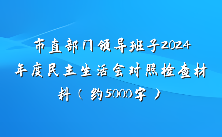市直部门领导班子2024年度民主生活会对照检查材料（约5000字）