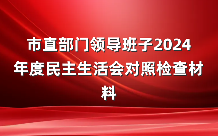 市直部门领导班子2024年度民主生活会对照检查材料