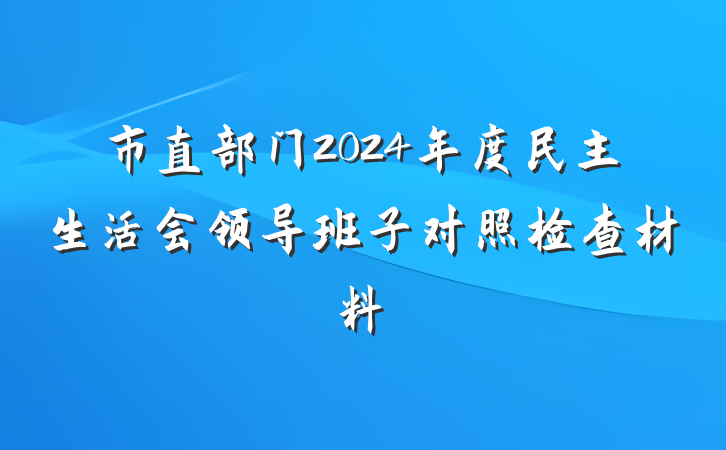市直部门2024年度民主生活会领导班子对照检查材料