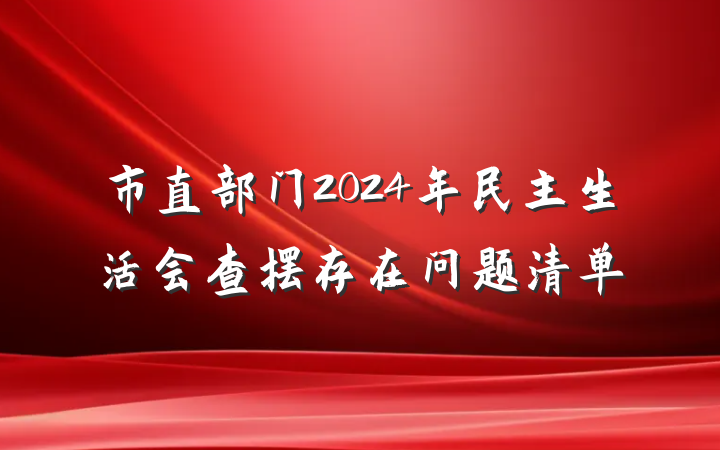 市直部门2024年民主生活会查摆存在问题清单