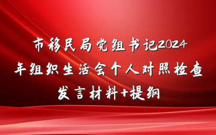市移民局党组书记2024年组织生活会个人对照检查发言材料 提纲