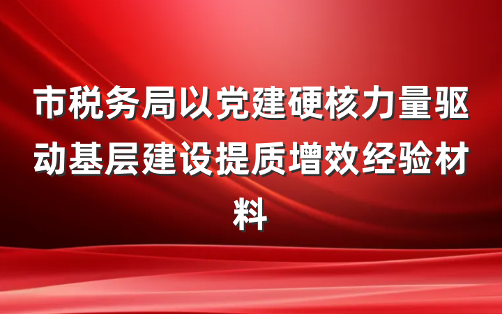 市税务局以党建硬核力量驱动基层建设提质增效经验材料