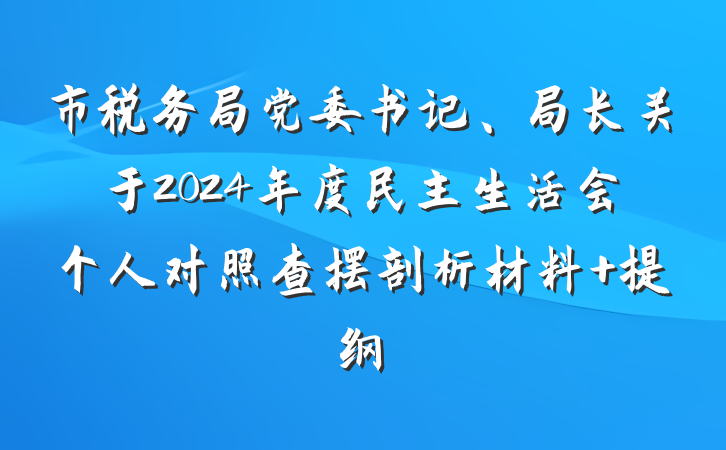 市税务局党委书记、局长关于2024年度民主生活会个人对照查摆剖析材料 提纲
