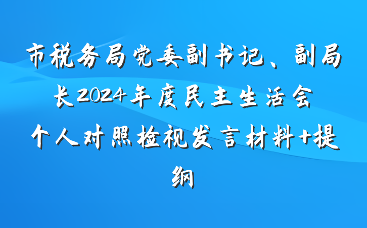 市税务局党委副书记、副局长2024年度民主生活会个人对照检视发言材料 提纲