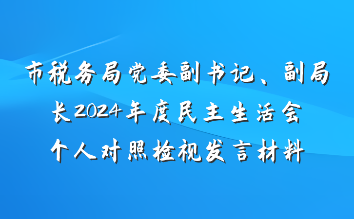 市税务局党委副书记、副局长2024年度民主生活会个人对照检视发言材料