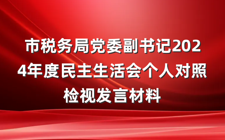 市税务局党委副书记2024年度民主生活会个人对照检视发言材料