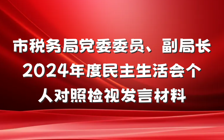 市税务局党委委员、副局长2024年度民主生活会个人对照检视发言材料