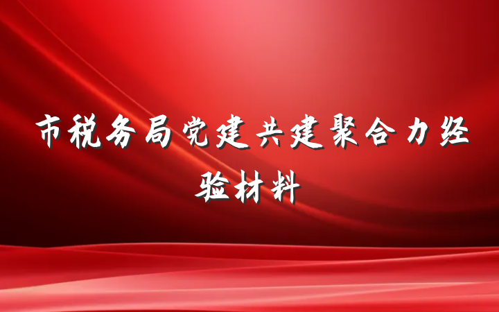 市税务局党建共建聚合力经验材料