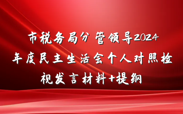 市税务局分管领导2024年度民主生活会个人对照检视发言材料 提纲