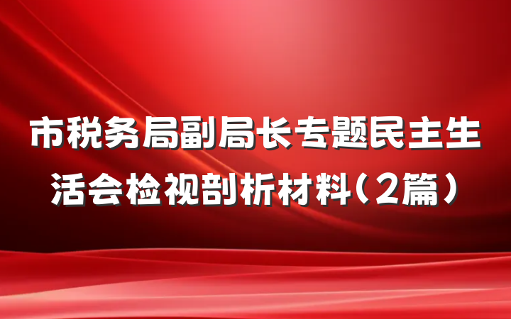 市税务局副局长专题民主生活会检视剖析材料（2篇）