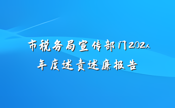 市税务局宣传部门202x年度述责述廉报告