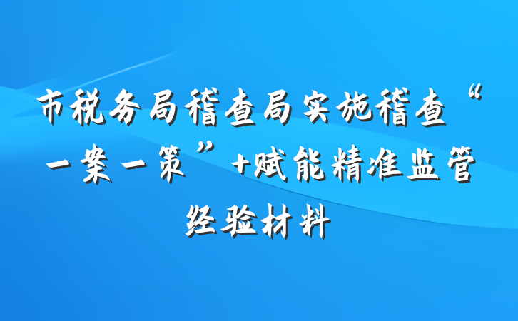 市税务局稽查局实施稽查“一案一策” 赋能精准监管经验材料