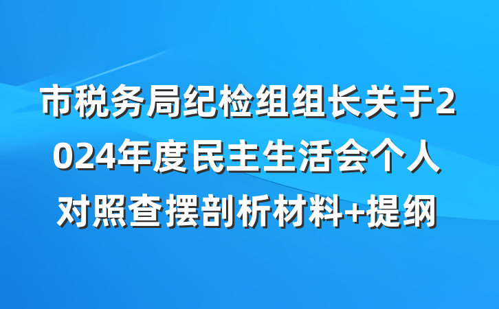 市税务局纪检组组长关于2024年度民主生活会个人对照查摆剖析材料 提纲