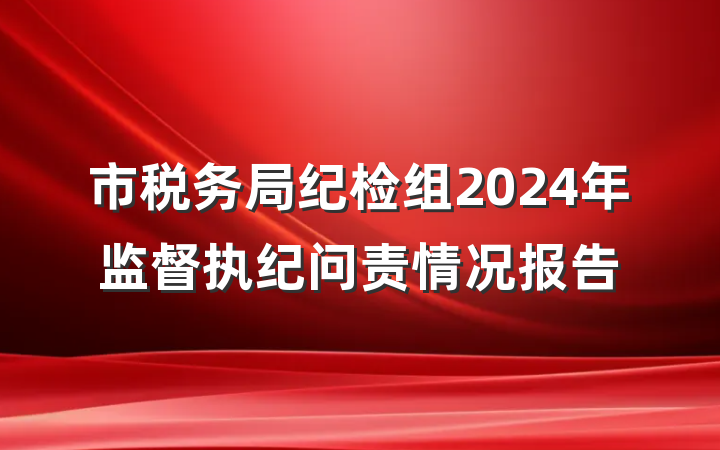 市税务局纪检组2024年监督执纪问责情况报告
