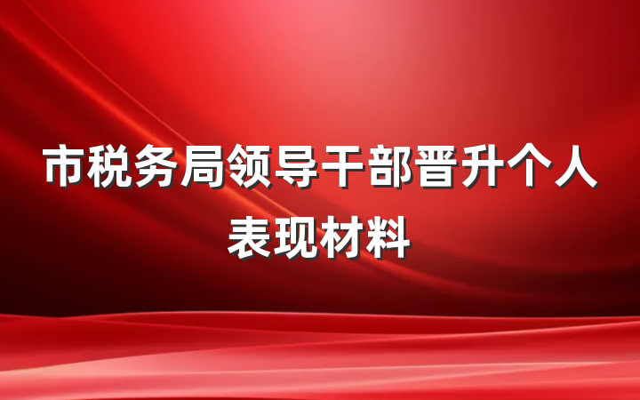 市税务局领导干部晋升个人表现材料