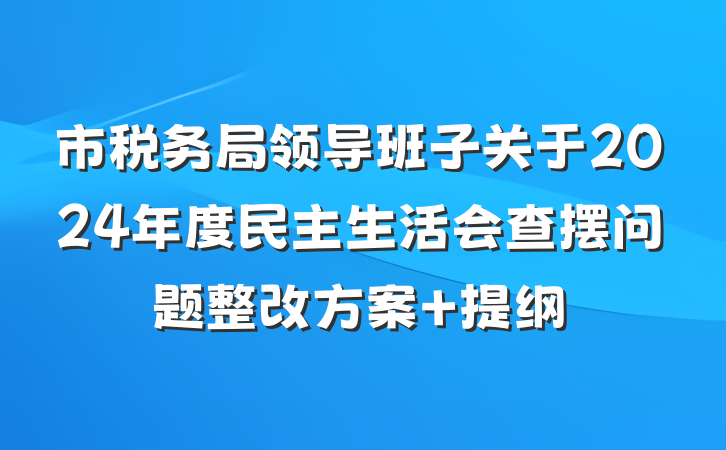 市税务局领导班子关于2024年度民主生活会查摆问题整改方案 提纲