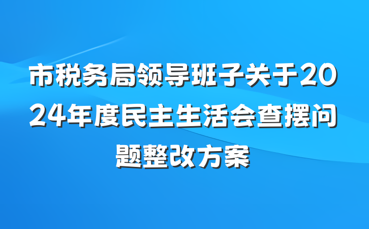 市税务局领导班子关于2024年度民主生活会查摆问题整改方案