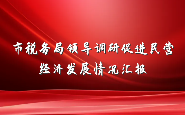 市税务局领导调研促进民营经济发展情况汇报