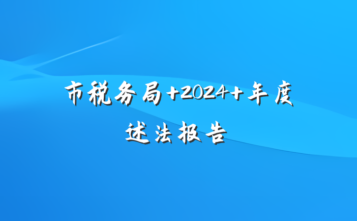市税务局 2024 年度述法报告