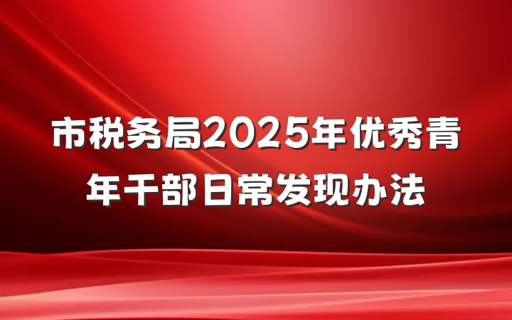 市税务局2025年优秀青年干部日常发现办法