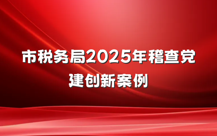 市税务局2025年稽查党建创新案例
