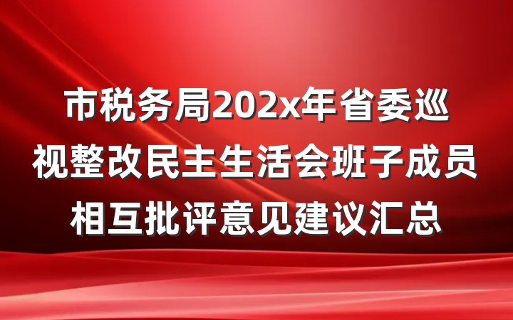 市税务局202x年省委巡视整改民主生活会班子成员相互批评意见建议汇总