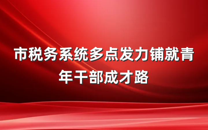 市税务系统多点发力铺就青年干部成才路