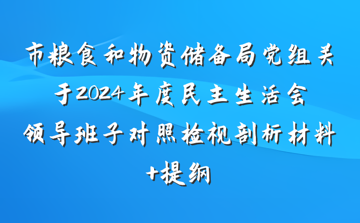 市粮食和物资储备局党组关于2024年度民主生活会领导班子对照检视剖析材料 提纲